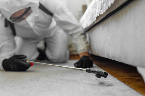Professional Bed Bug Control technician working in Lake Don Pedro, CA