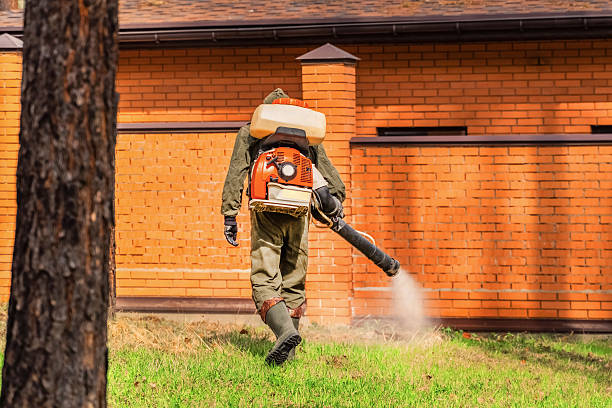 Trusted Bed Bug Control service in Lake Don Pedro, CA - Nex Pest Control